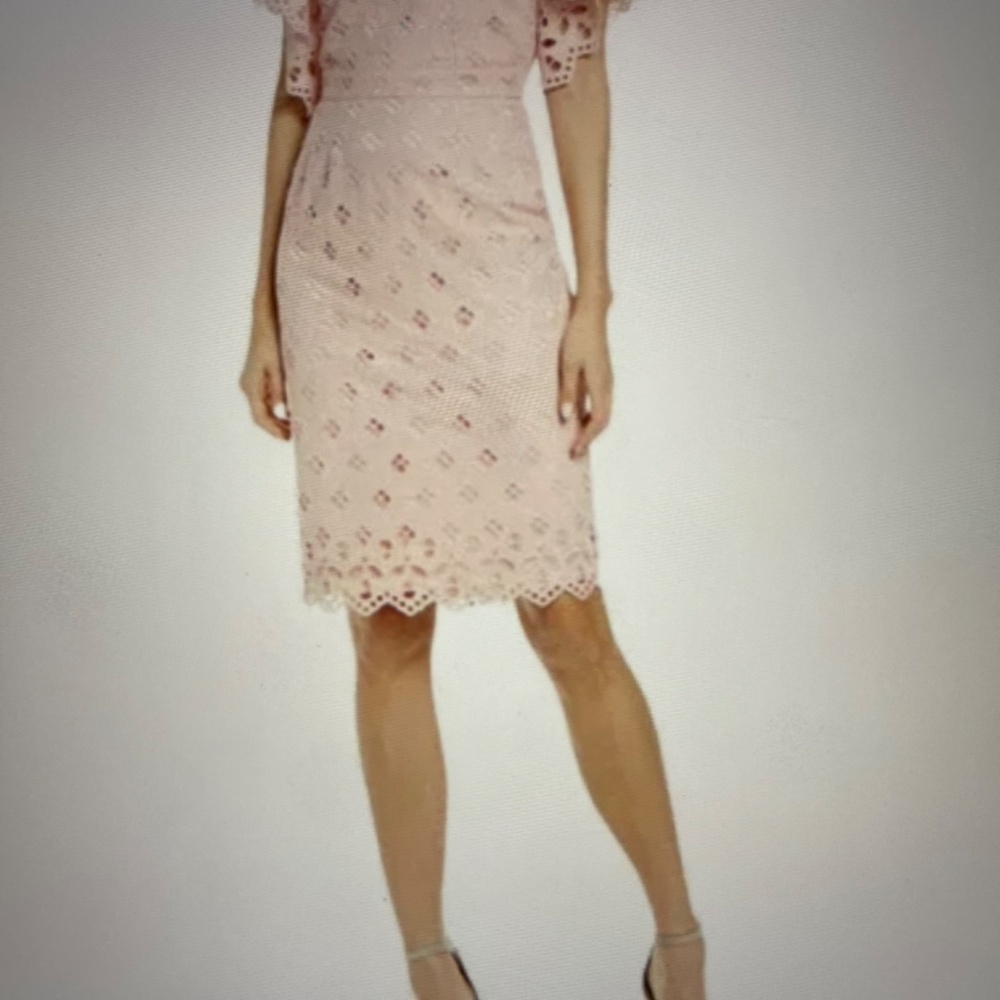 RACHEL PARCELL Women's Pink Eyelet Sheath Pink Midi Dress 2XL (16) - Picture 5 of 12